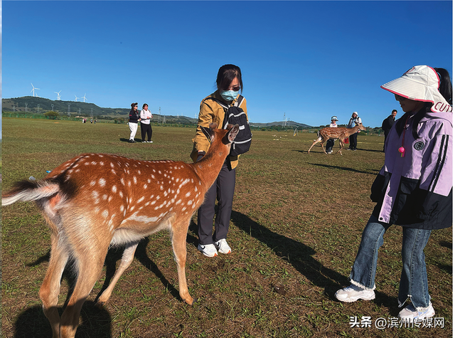 滨彩少年亲子游第三期草原行圆满落幕
