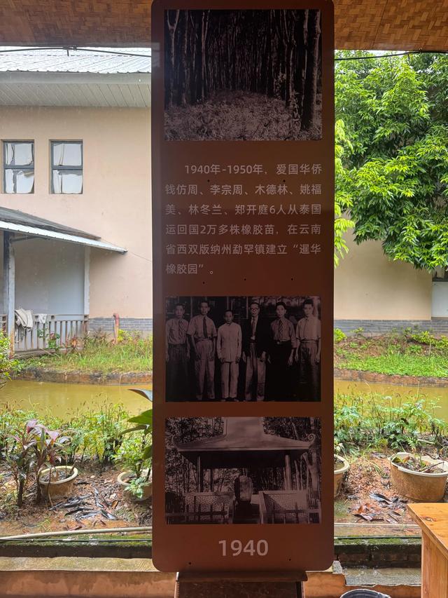 我遇到的两个导游，都有类似的故事