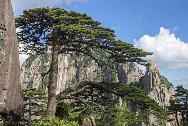 2026，我要把国内最值得去的10个地方全部走遍，建议收藏！