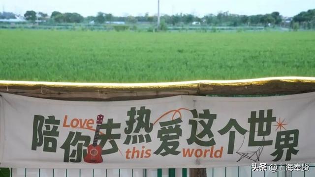“乡”遇奉贤·四团镇篇丨“品酒+露营”快来解锁近郊旅游新玩法