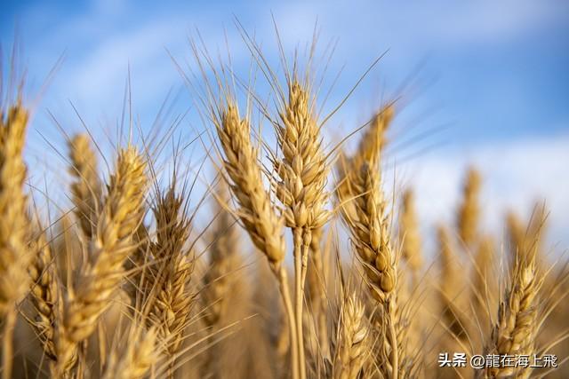 来一场说走就走的旅行，让心静下来慢慢倾听