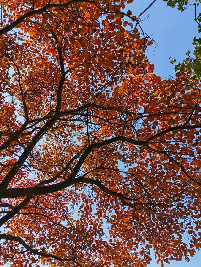 致敬时代记录者 ┃中国记者节熊耳山专属邀约