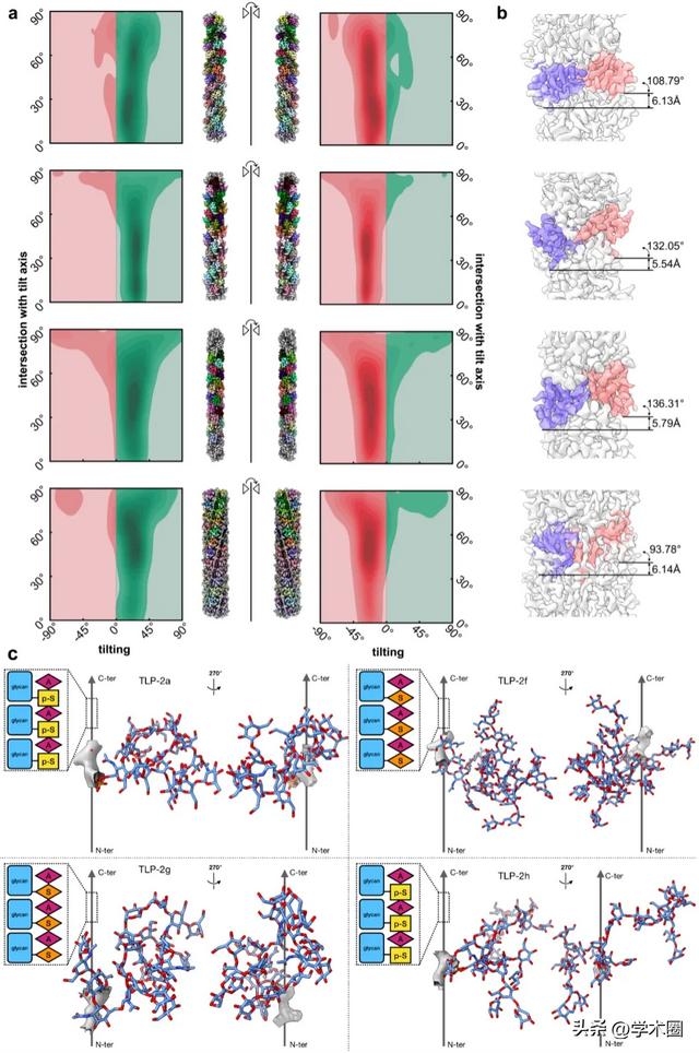 颜宁院士团队连发两篇!