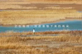 与地球和鸣作品集上线华为音乐，快去听听空间音频版地球之音！图片