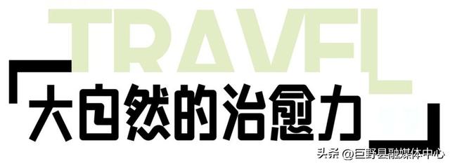 绝美出片打卡地！一棵全泰安最孤独的树，就在这里……