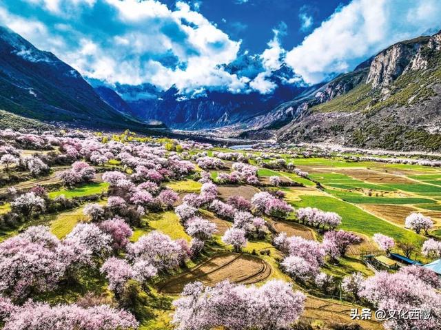 《西藏组画·牧羊人》卖出1.61亿！而你的西藏旅行是无价的！