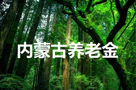 内蒙古企业养老金的计算方法图片