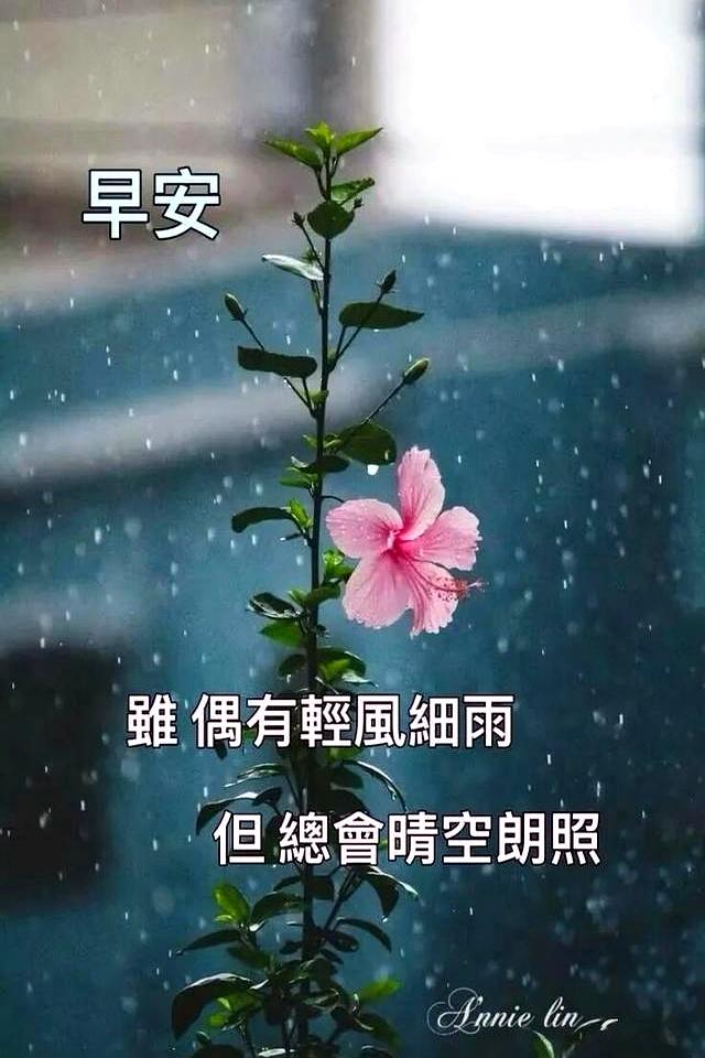 下雨天早上好图片最新，雨天早上好问候语温馨，大雨小雨皆祝福