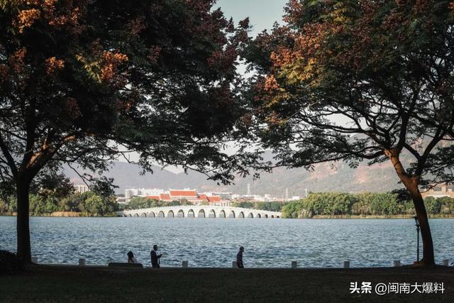 冬日暖阳里，来丰泽这儿享受惬意时光