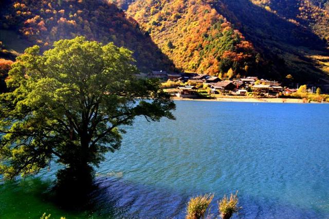 正式通车！全线免费！新挖赏秋天花板小城，绝美彩林不输九寨！地道美食50元吃爽！