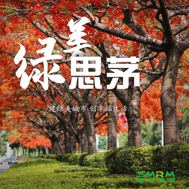 住普洱小熊猫庄园 探访太阳河森林公园 又有新业态啦 | 有一种叫云南的生活