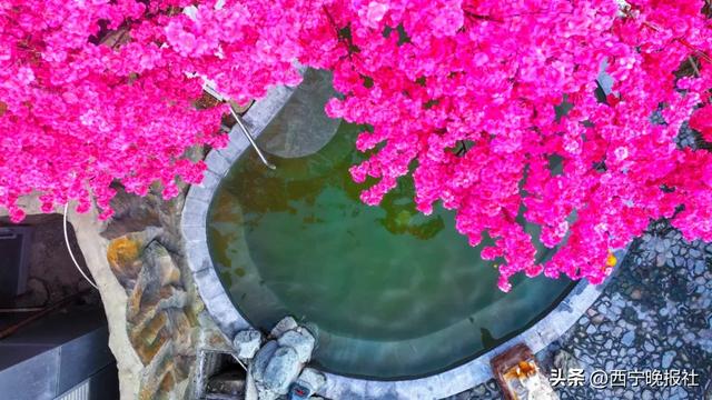 这个冬日，西宁又多了一处休闲打卡地