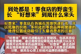 独家揭秘！“好想来”零食崛起，市场饱和后咋办？热议！图片
