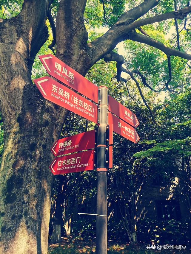 再游苏大-随便进的时候就去了一次，限流预约了却非要去看看。