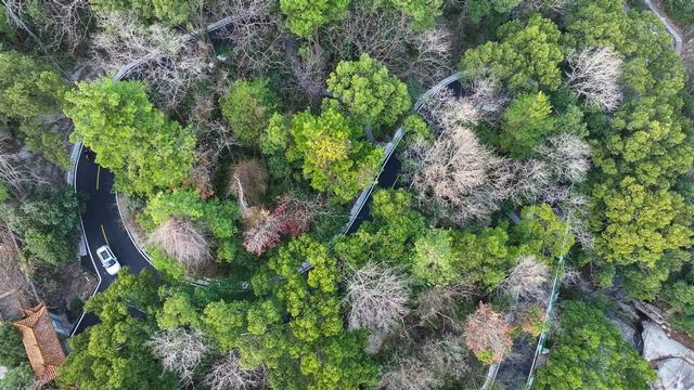 南岳中心景区“主动脉”焕新升级 行车安全与舒适度全面提升