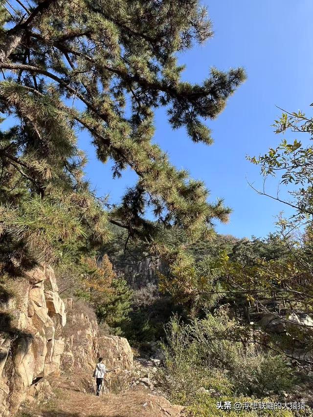 泰安岱岳区曹家庄隐佛崖打山泉水游记