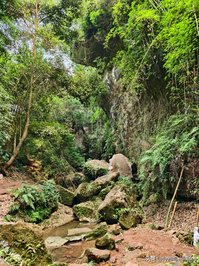 成都徒步（66）·邛崃篇⑥皮缝峡谷·皮缝古道