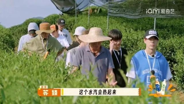 十个勤天做“导游”，带你游杭州