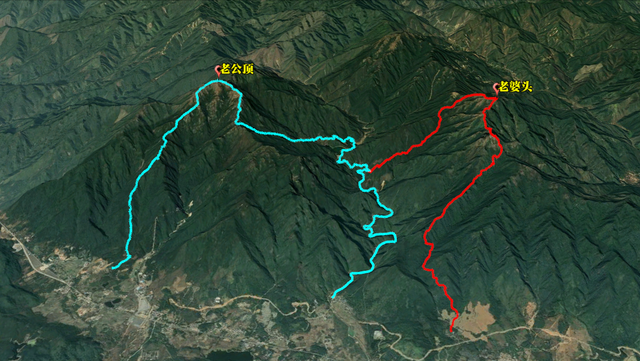 15人攀登老公顶，因大雾误入悬崖失联，被马蜂疯狂蜇咬毒蛇拦路