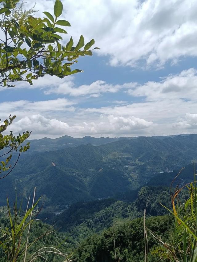苏马荡避暑一月,和其他人不一样的感受