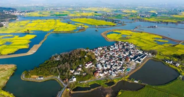 定向赛将至，来游峨桥美！11 月来 “茶香山水” 间解锁诗意乡村