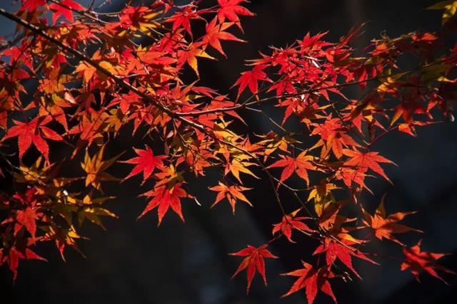 工业+旅游，还可以这样玩？快来打卡！