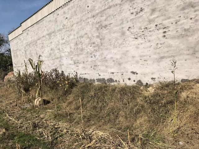 邢台“一家五口遇害案”将开庭	，男子痛失父母妻儿5人：小儿子年仅3岁，凶手的小舅子曾认我爷爷为干爹