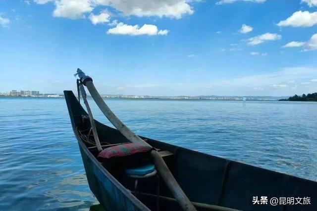 西山赏杏观鸥全攻略！40载人鸥情缘！3+8+N玩法承包冬日浪漫