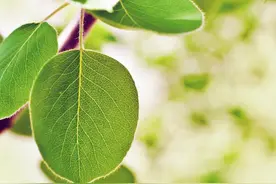 两个字的网名，二字网名微信昵称，有意境的名字，简短干净到极致图片