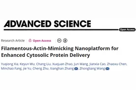 事关重大疾病诊疗！西电教授破解领域“难题”，引发国际关注！图片