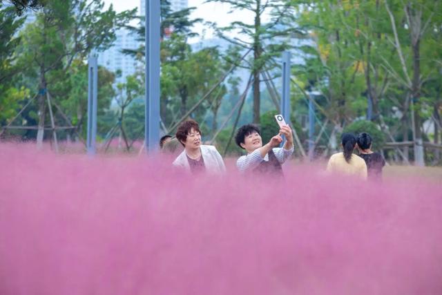 “粉色秘境”已上线！初冬必打卡！位置就在…