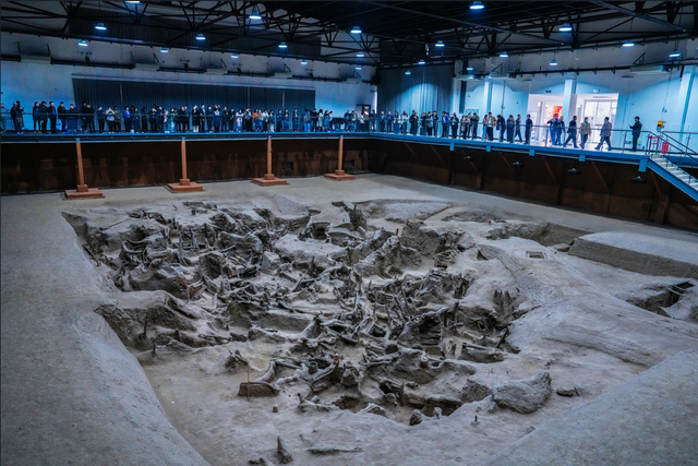 山水柔情变文旅魅力 黄石加快建成武汉都市圈生态文旅宜居城