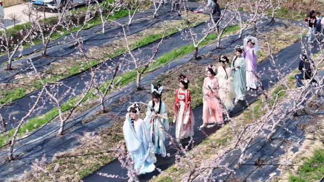 孝昌：许你一场春日“桃花源”