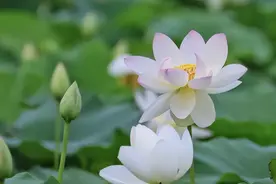 人老了就会明白，人生毫无意义图片