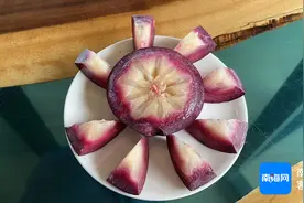 60至100元/公斤！会流“牛奶”的热带水果，即将采摘上市图片