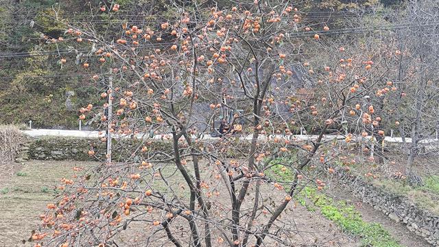 赏秋秦岭，摩旅商洛（11）过商洛，偶然进入蓝小路，露营蓝田县