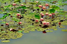 最高近40℃！未来三天，山西中南部地区有持续性高温天气图片