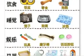 血泪教训！幼犬到家这8件事千万别做，我的疏忽害死了一条命图片