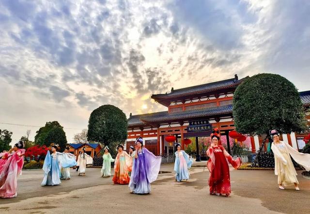 一园月季韵，满城春日情｜中国月季园月季文化系列活动重磅登场