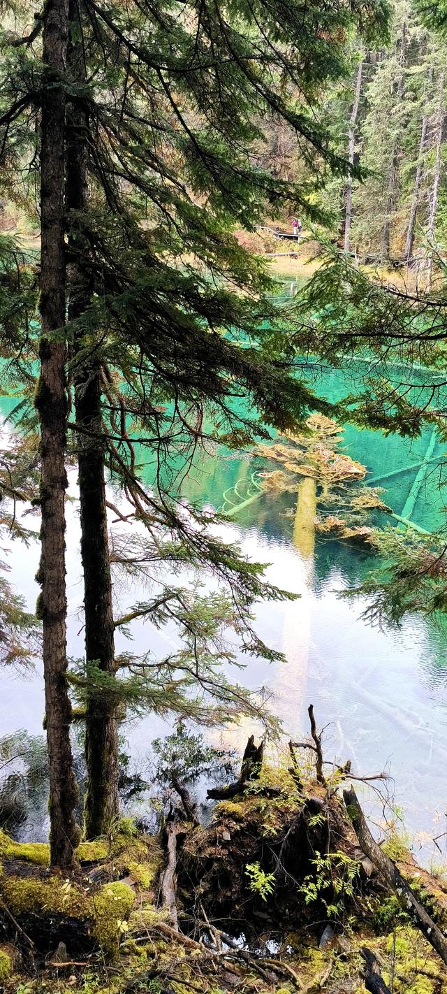 神仙池（一）竖幅