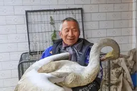 2015年老汉放羊时遇落难“大鹅”，13天后央视找上门，才知是宝贝图片
