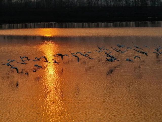 什么？！“高雅人士”来武清了？？