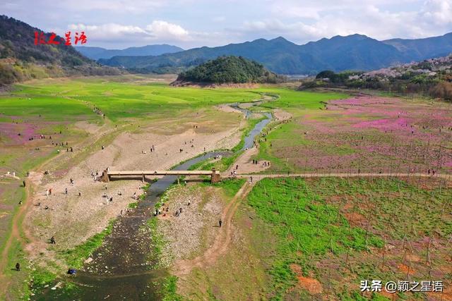 宁波的阿勒泰？梦幻的绿野仙踪