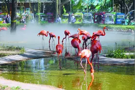 快看，动物幼崽们准备集体卖萌啦！“五一”假期石家庄市动物园欢乐多图片