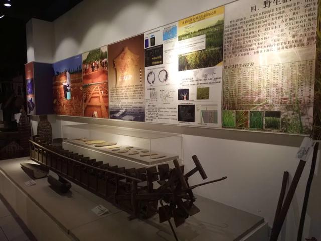 乐享田园·趣游南宁│稻香壮韵寻趣之旅