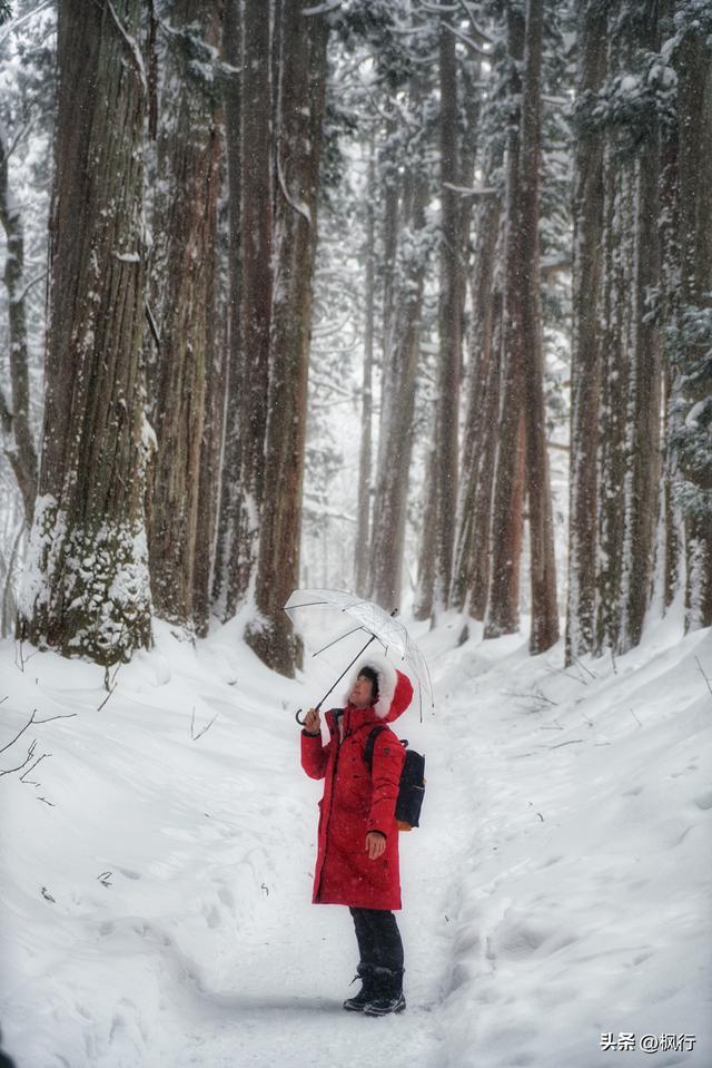 说起冬季日本看雪，难道只有北海道吗？