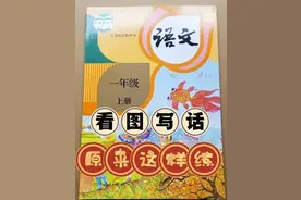 怎么没人早点告诉我😭一年级看图写话，原来要这样练图片