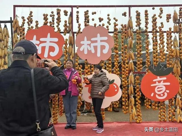 王博||蓝田白鹿原影视城“关中柿界寻秋季”暖心启幕