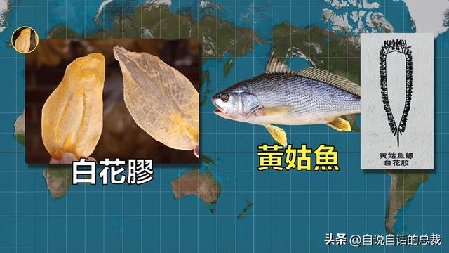 十多年老花胶多少钱 2026年十几年的花胶