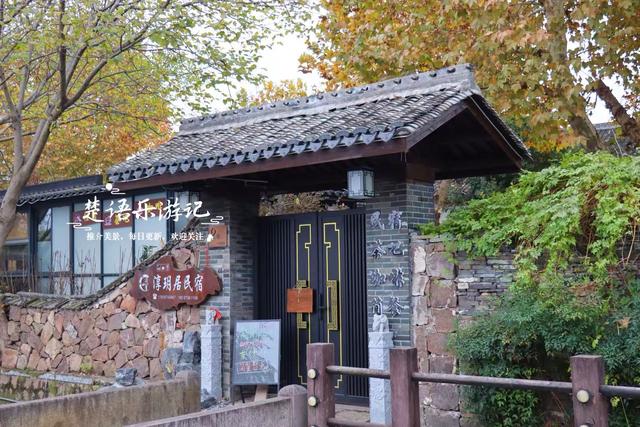 浙江宁波少有的水乡古镇，银杏大道与银杏林太美了，错过再等一年